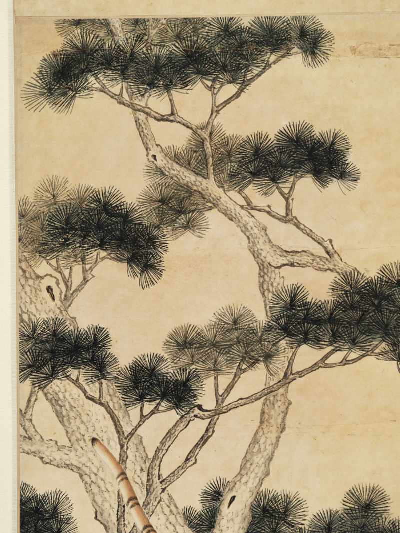 常曾灏 岩谷雄风 - 图8