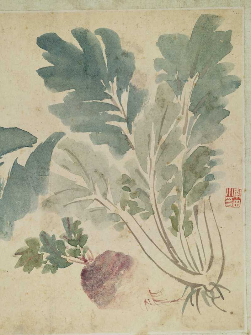 恽寿平（款） 花卉四帧 - 图14