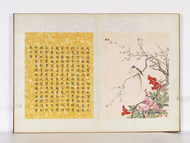 丁酉（1897年）作 梁德润、孙毓汶 花卉草虫册 - 图20