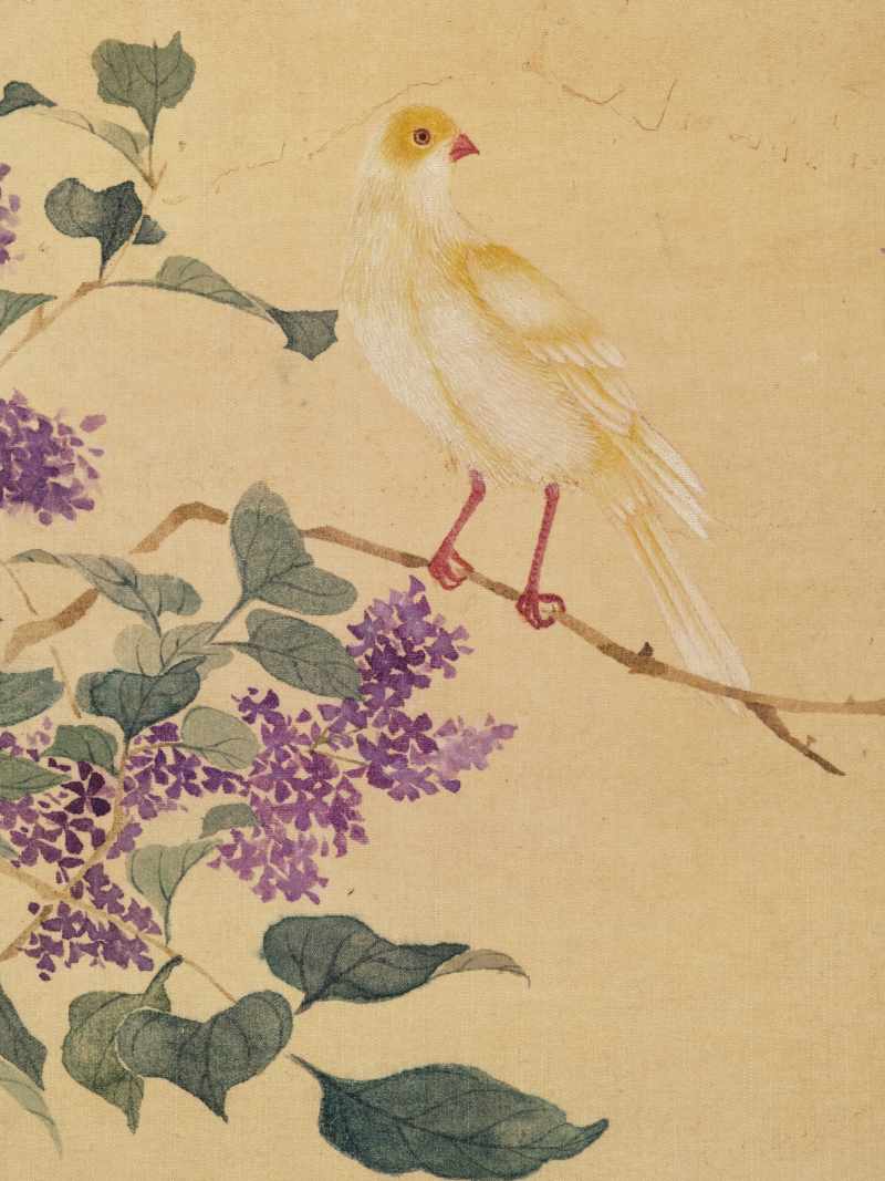 佚名 花鸟册 - 图7