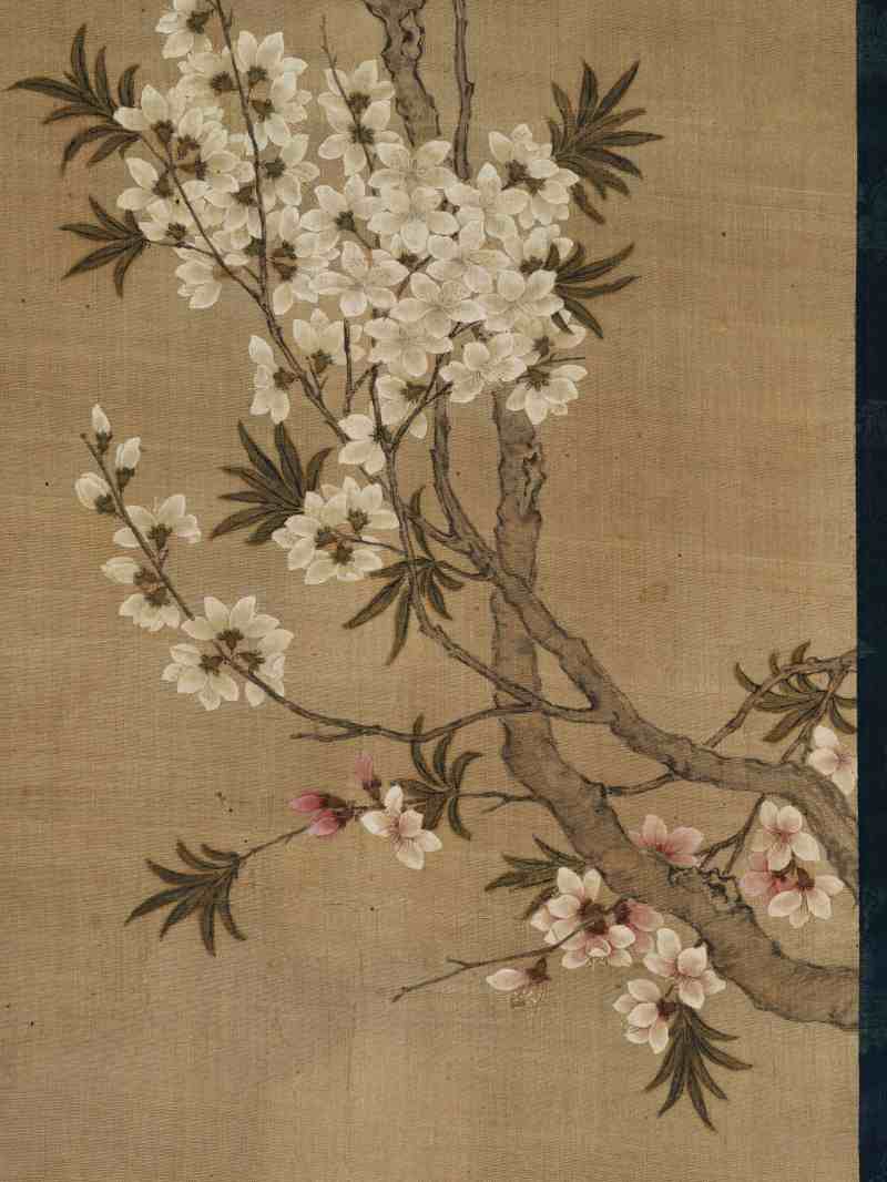 张莘 双色桃花 - 图6