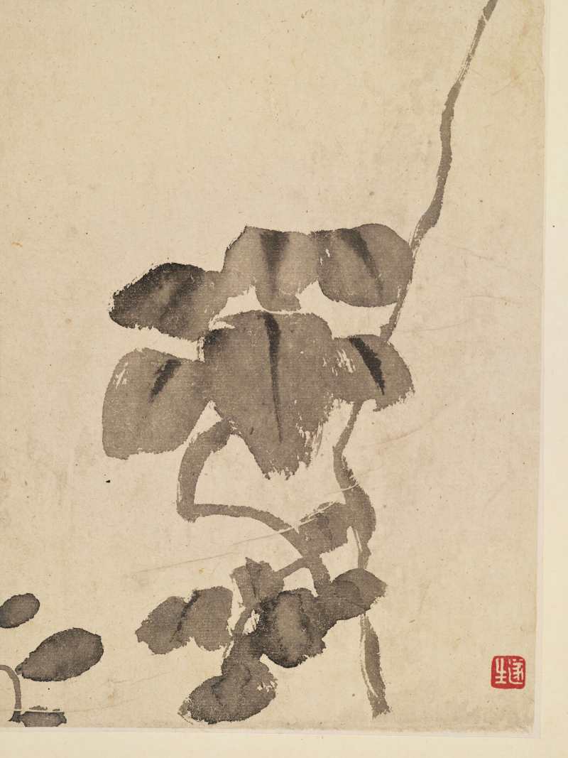 朱耷 菊花 - 图3