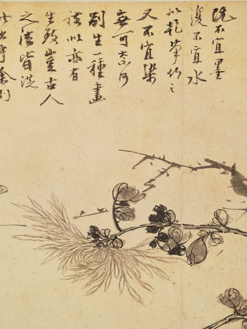 徐六桥 花卉册 - 图59