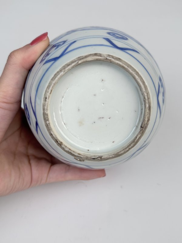 清康熙青花宝象花鸟纹罐 - 图9