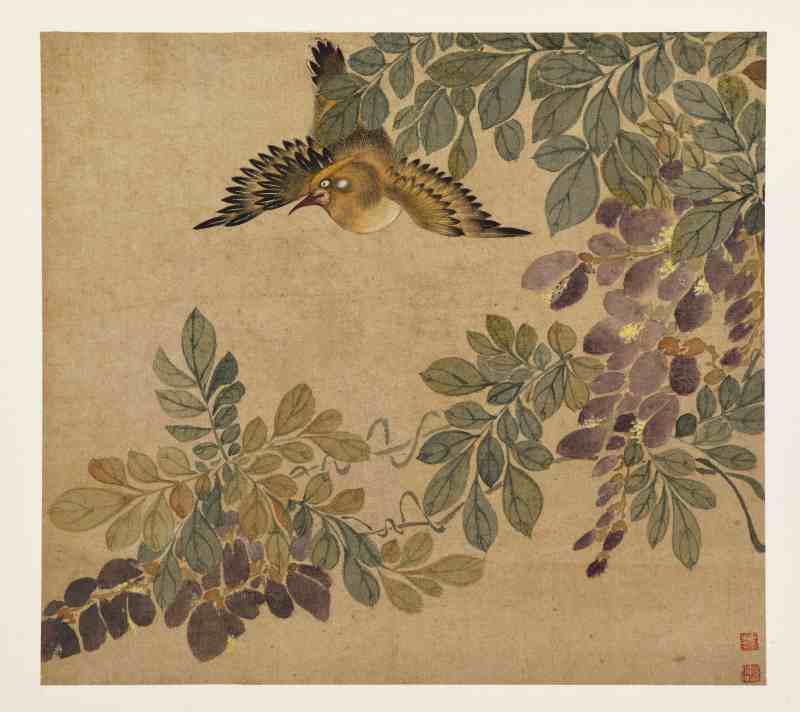 童原 写生花鸟册 - 图18