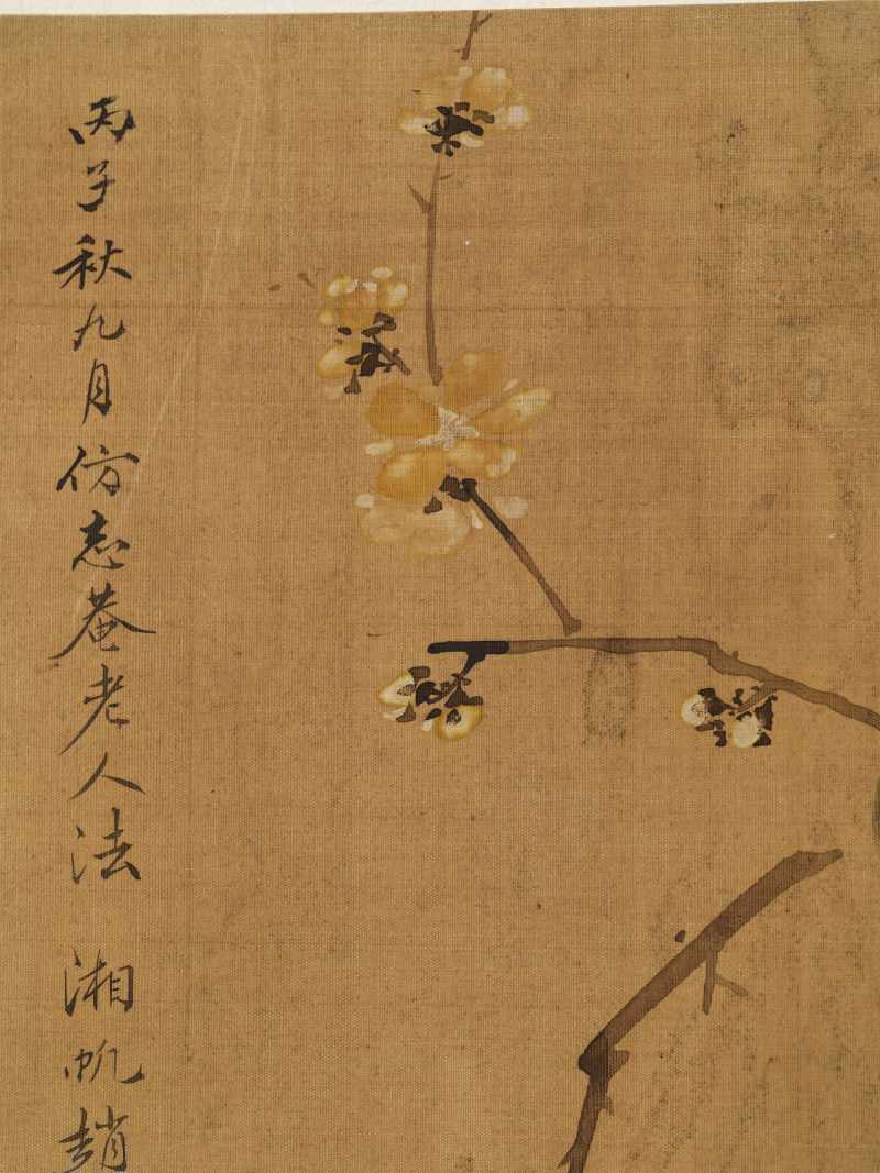 赵源 花鸟册 - 图13
