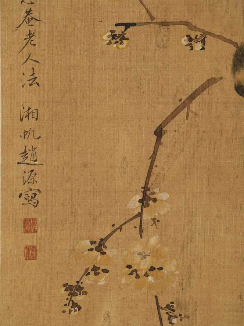 赵源 花鸟册 - 图14