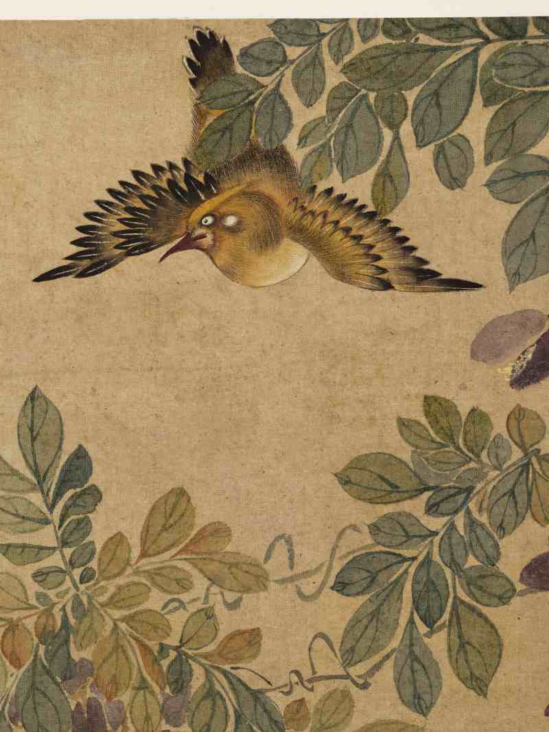 童原 写生花鸟册 - 图19