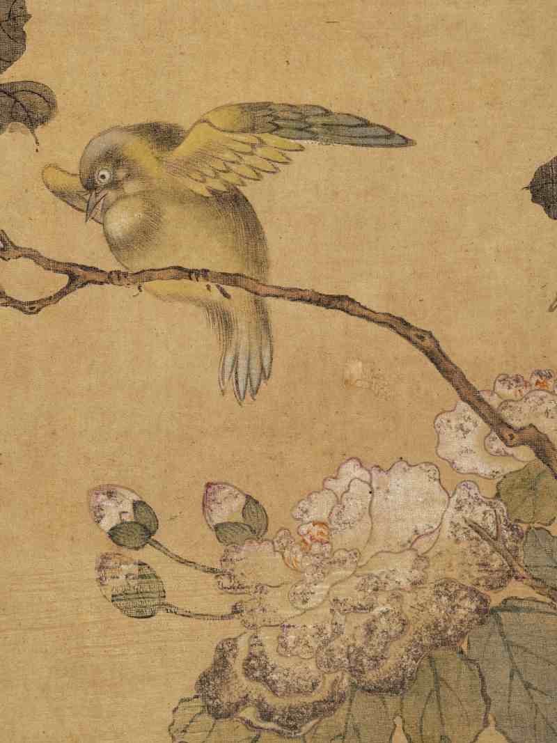 童原 写生花鸟册 - 图29