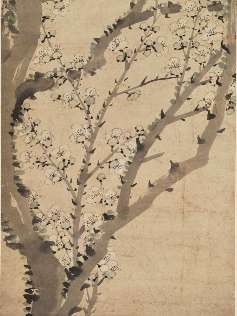 董念芬 梅花 - 图5
