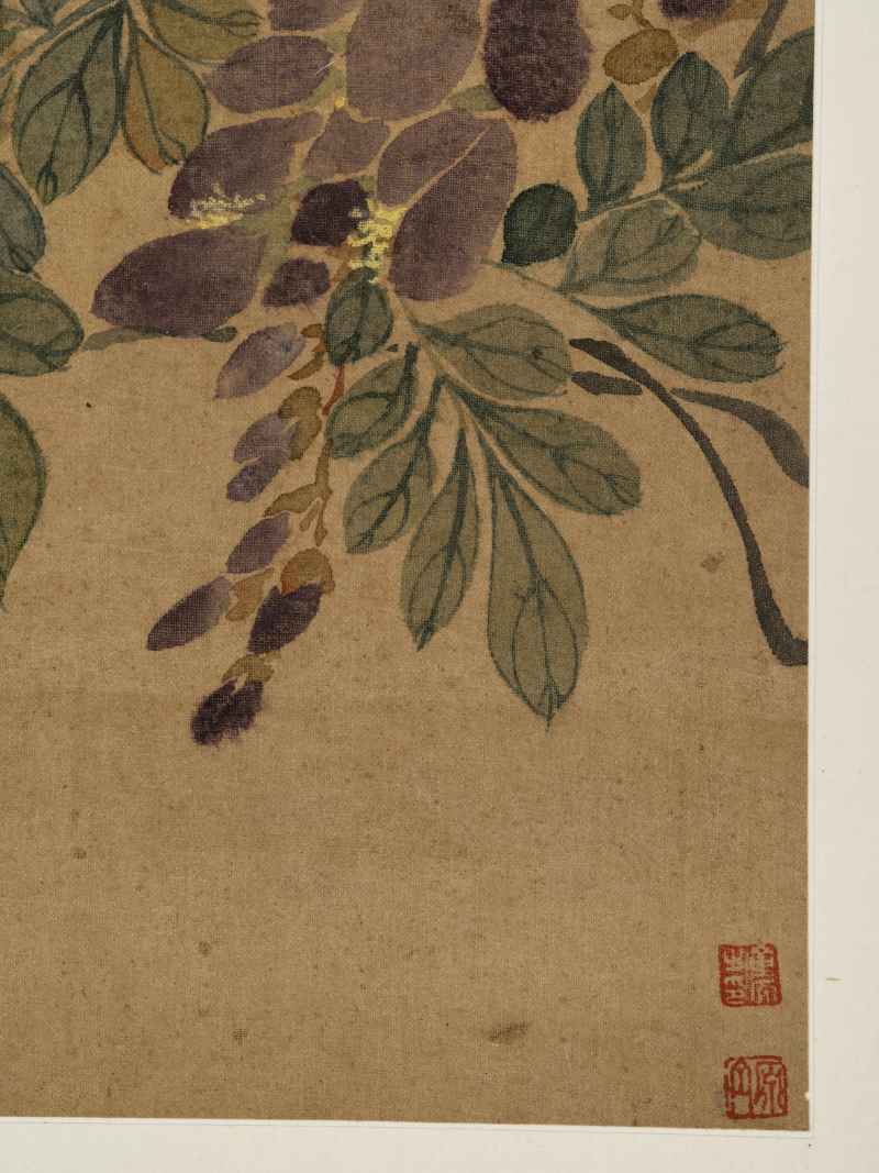 童原 写生花鸟册 - 图20