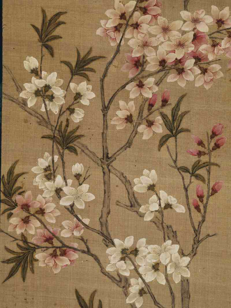 张莘 双色桃花 - 图8