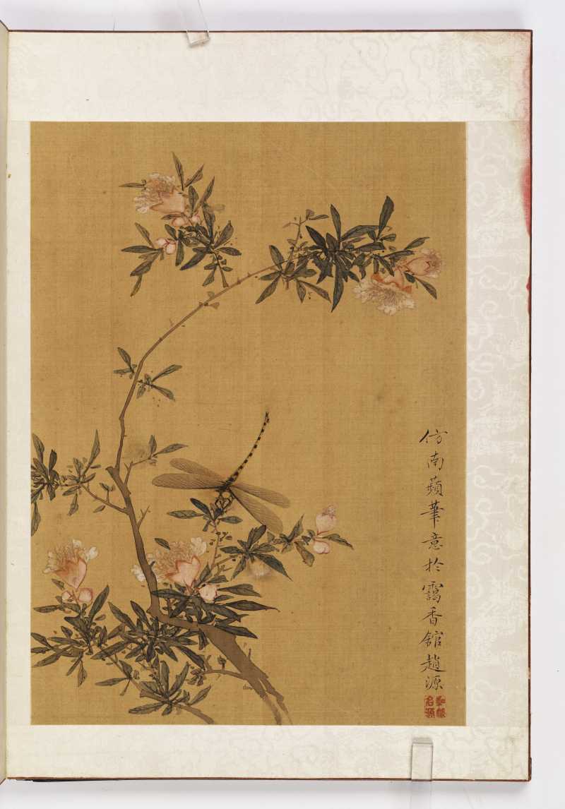 赵源 花鸟册 - 图16