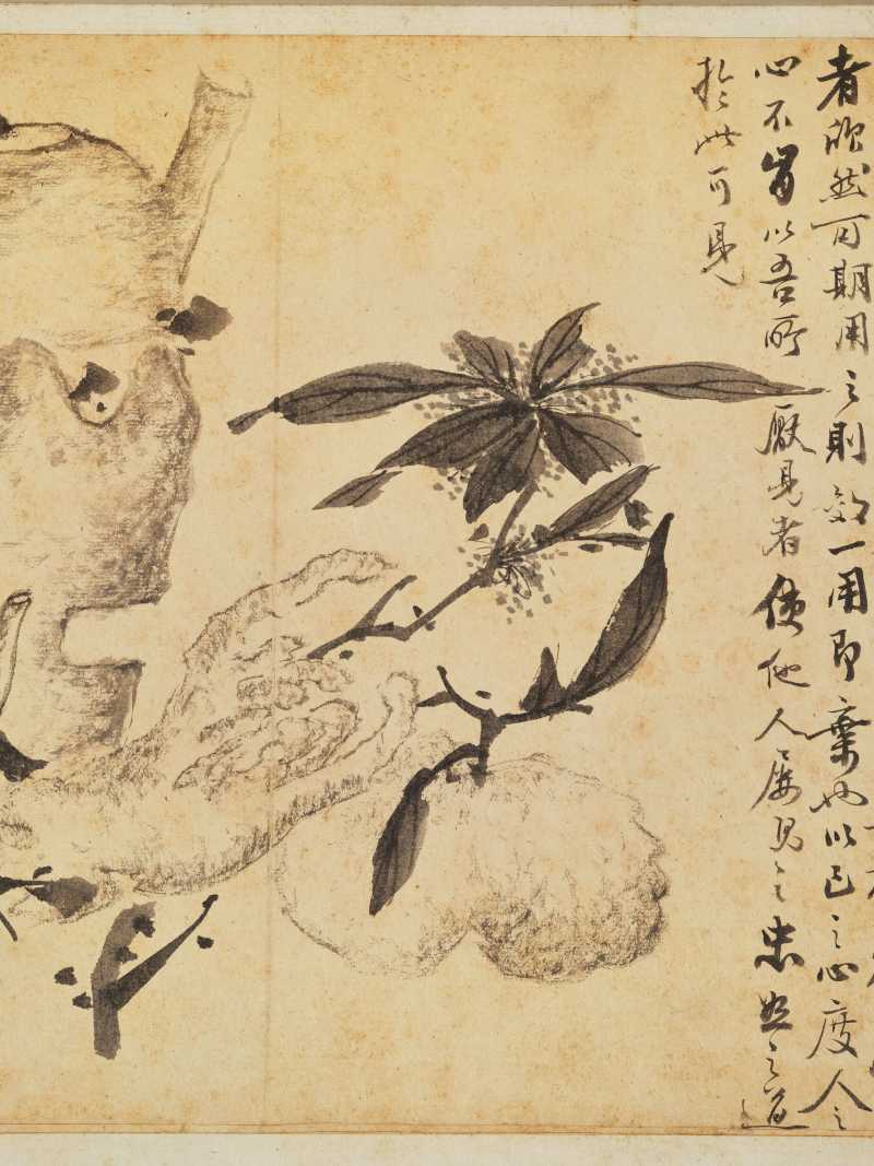 徐六桥 花卉册 - 图16