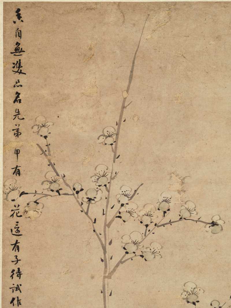 董念芬 梅花 - 图6