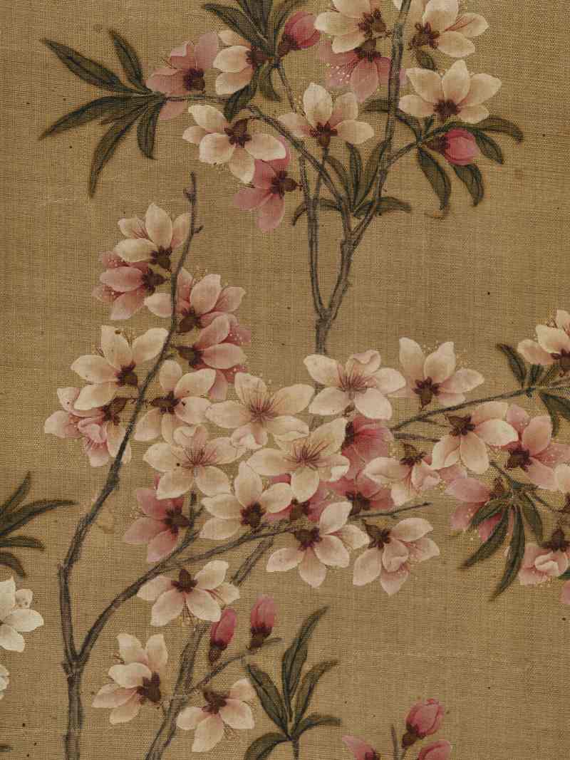 张莘 双色桃花 - 图9
