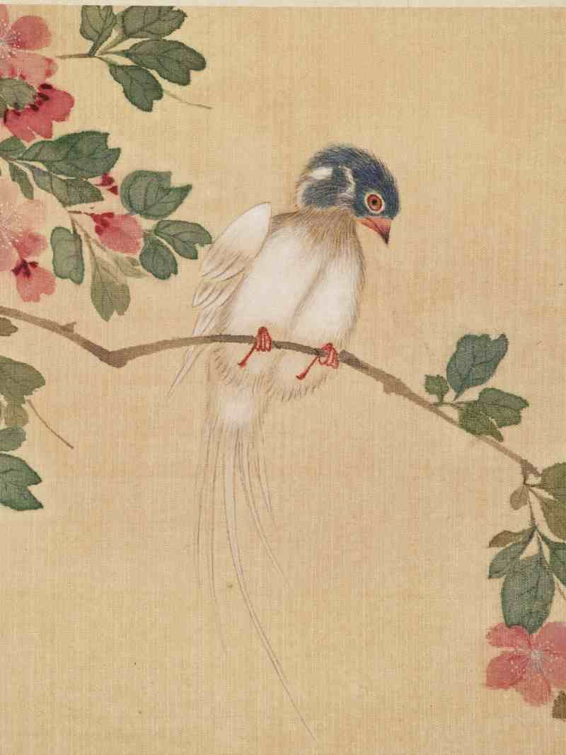 佚名 花鸟册 - 图9