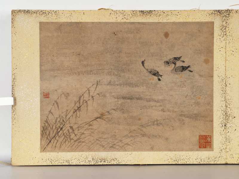 边寿民（款） 芦雁册 - 图26