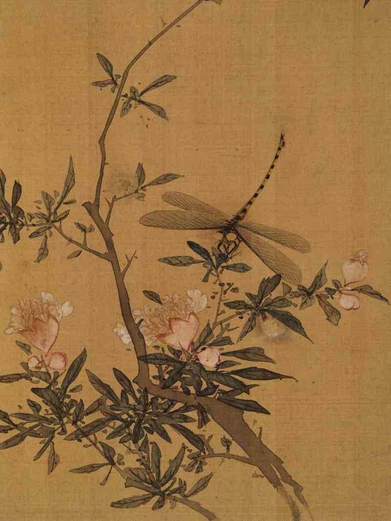 赵源 花鸟册 - 图17