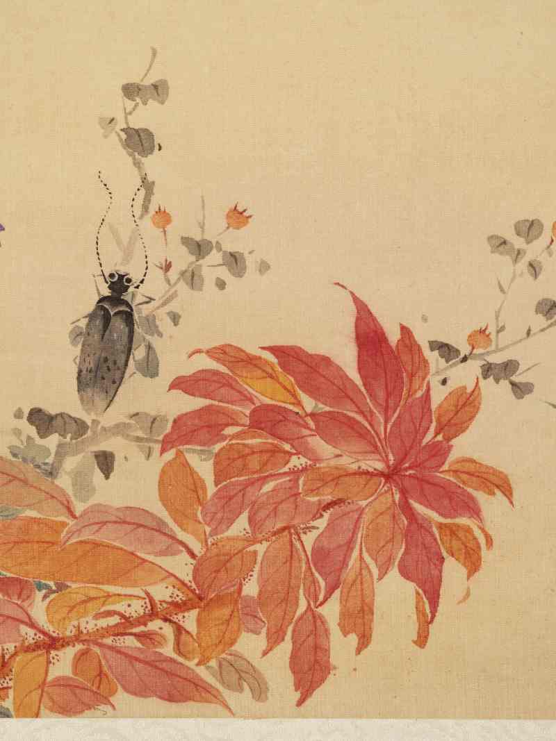 佚名 花鸟册 - 图11