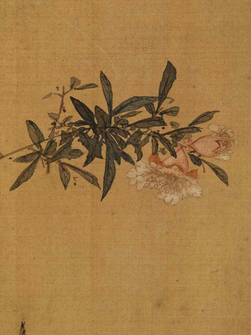 赵源 花鸟册 - 图18
