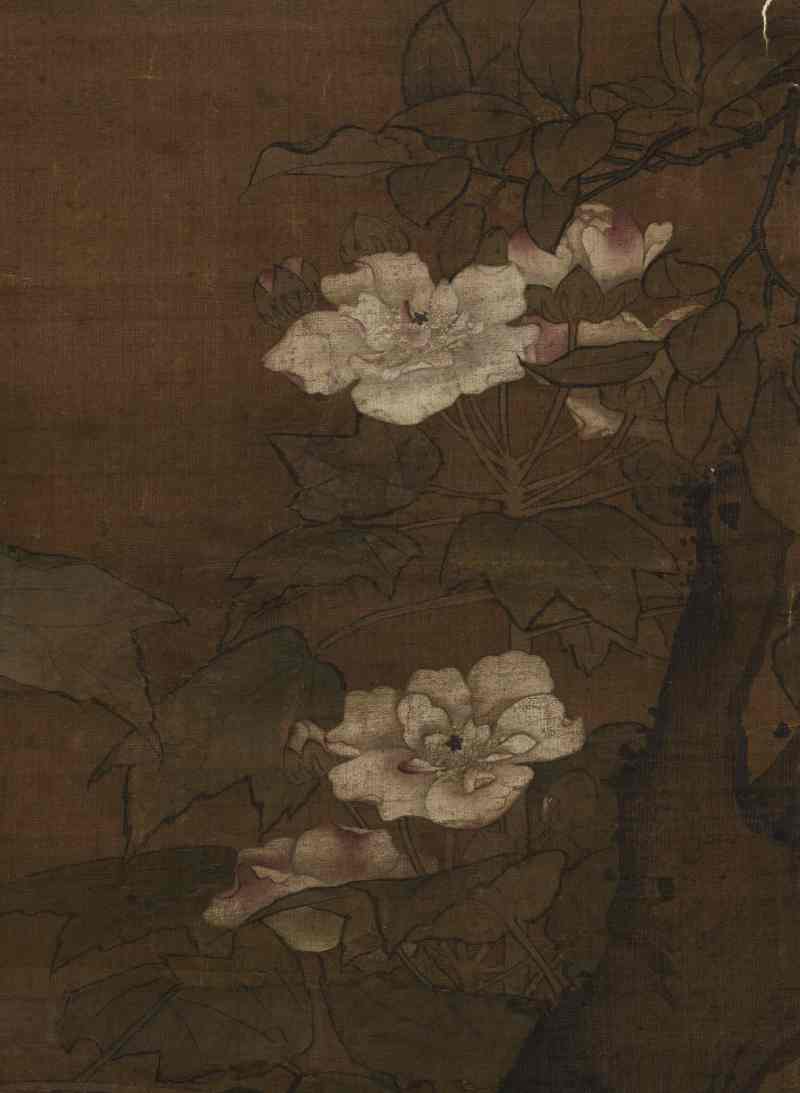 佚名 芙蓉白鹭 - 图8