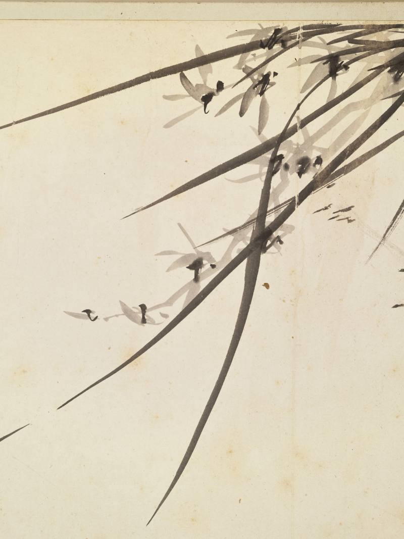 徐六桥 花卉册 - 图65