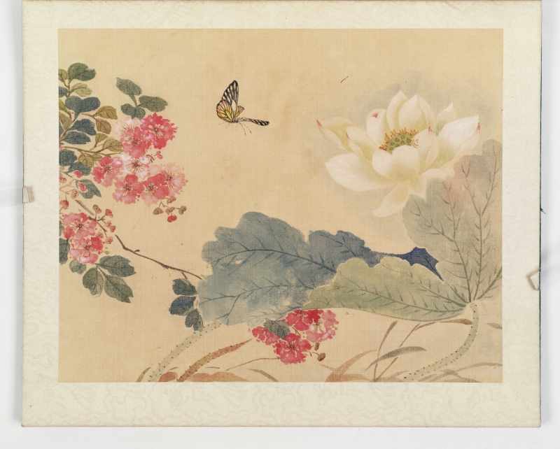 佚名 花鸟册 - 图12