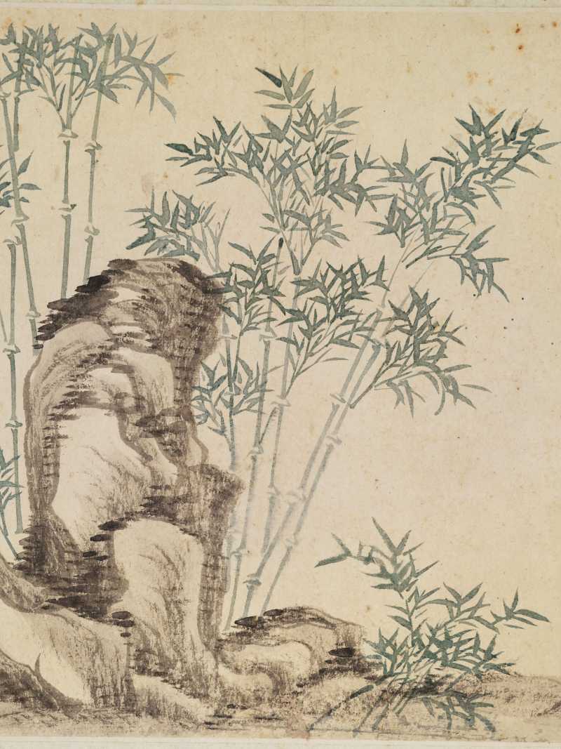 恽寿平（款） 花卉四帧 - 图20