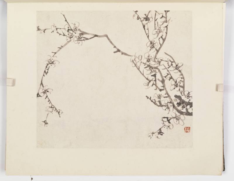康熙甲子（1684年）作 温仪 梅花册 - 图6