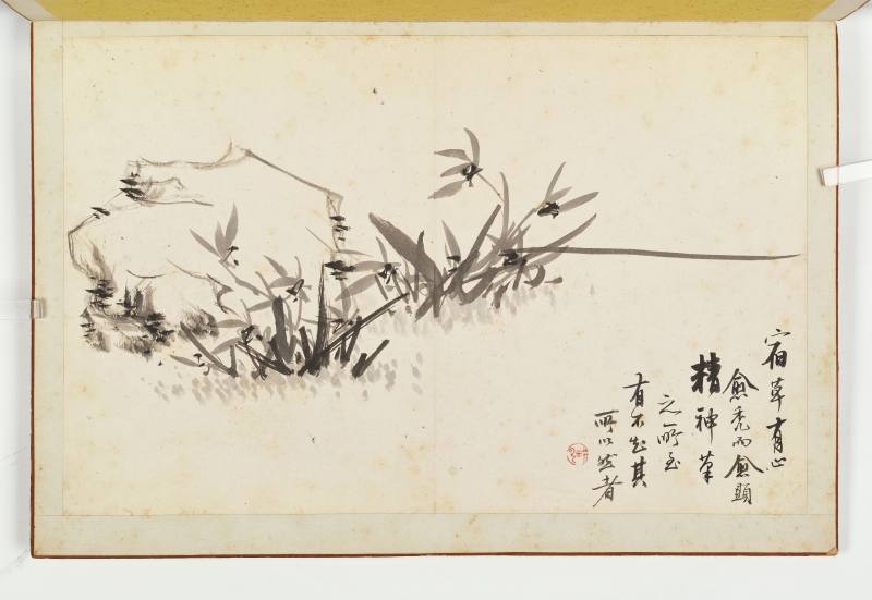 徐六桥 花卉册 - 图67