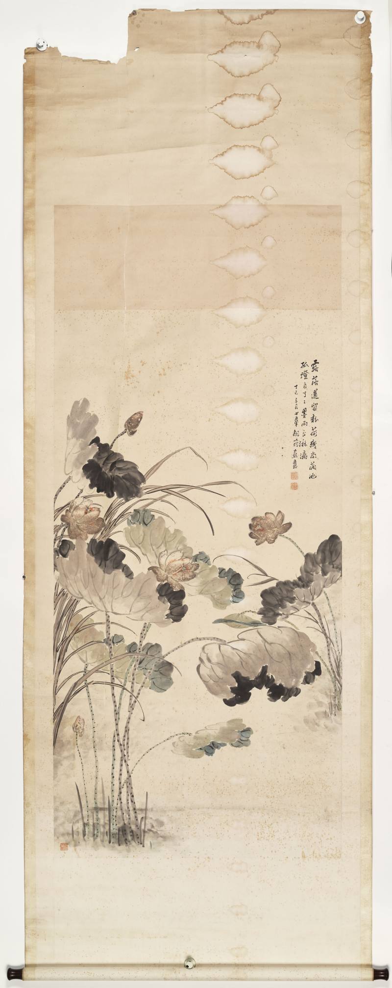 丁巳（1917年）作 孙楷、胡筠 清廉君子、荷花 - 图19