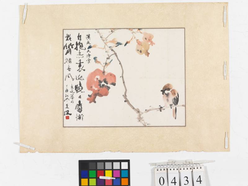 丁酉（1957年）作 楊善深 石榴小鳥 - 图2