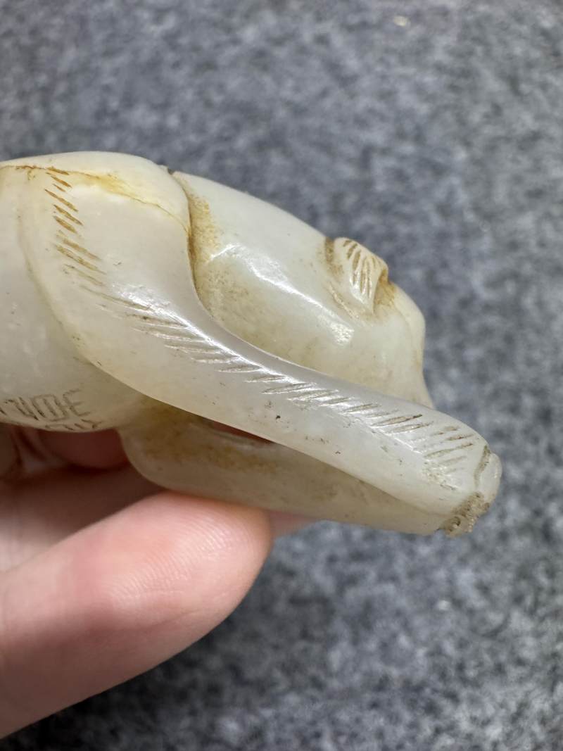 白玉臥犬 - 图11