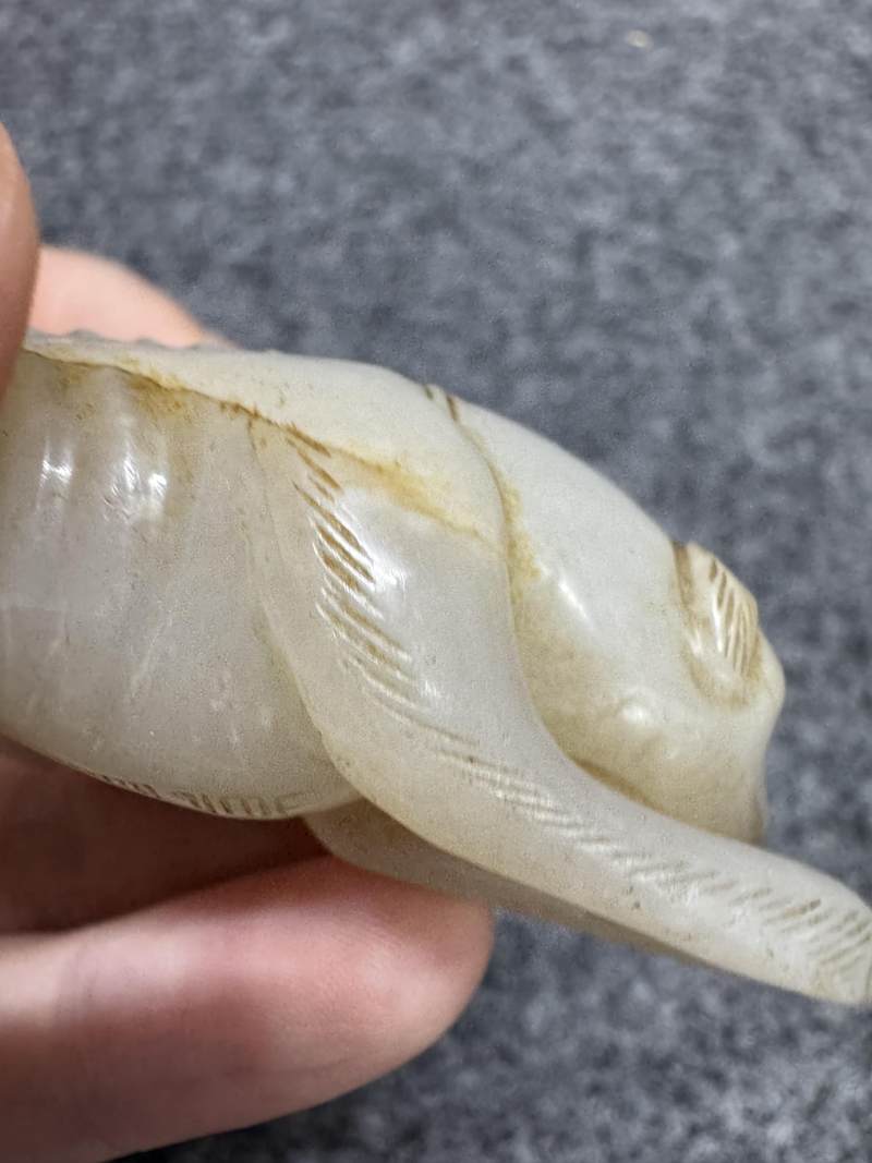 白玉臥犬 - 图12
