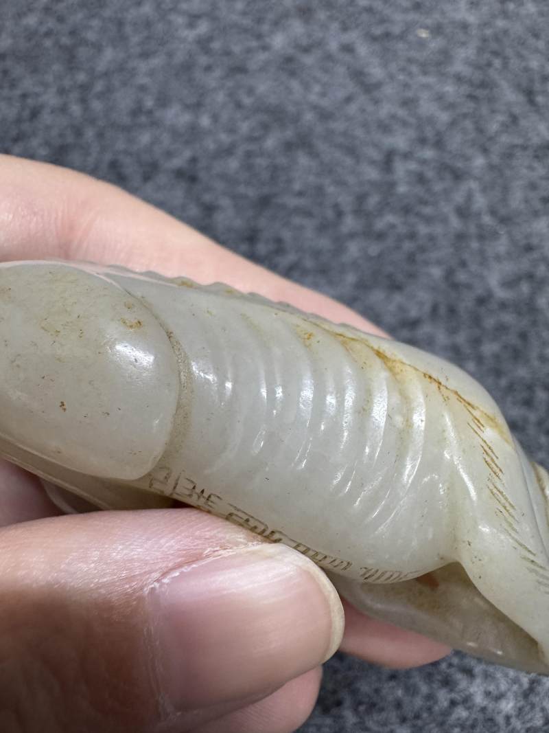 白玉臥犬 - 图13