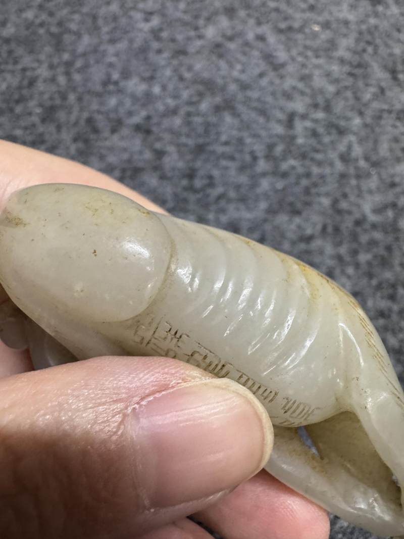 白玉臥犬 - 图14