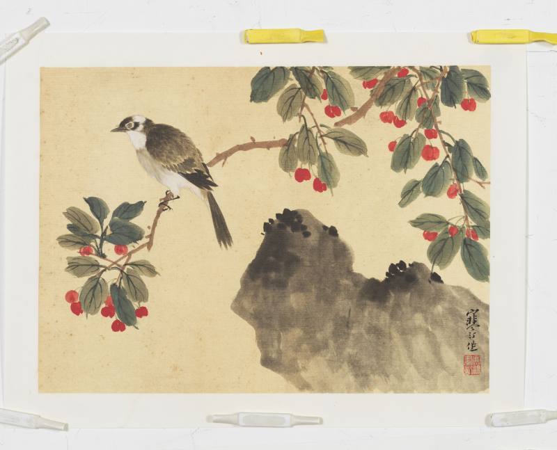江寒汀 花鳥三幀 - 图3