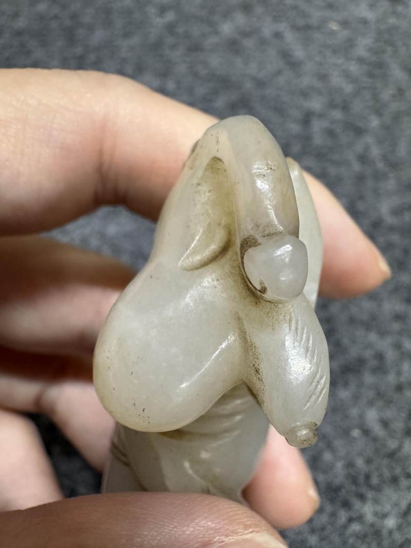 白玉臥犬 - 图20