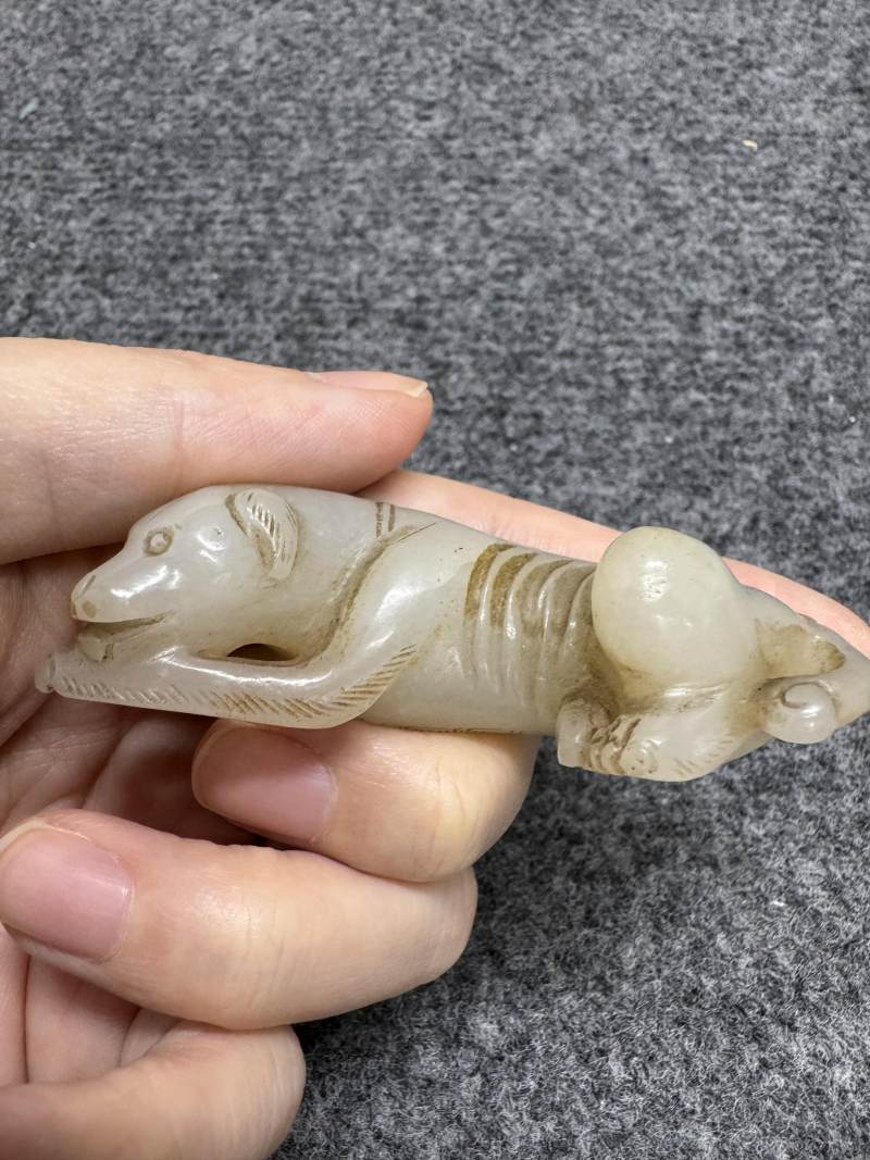 白玉臥犬 - 图27