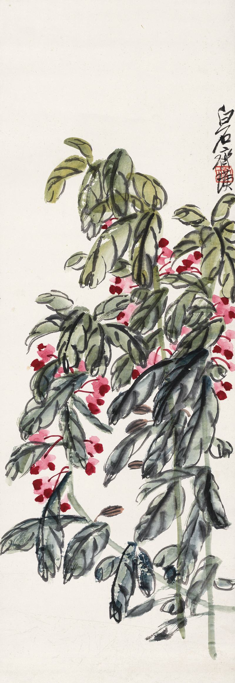 鳳仙花