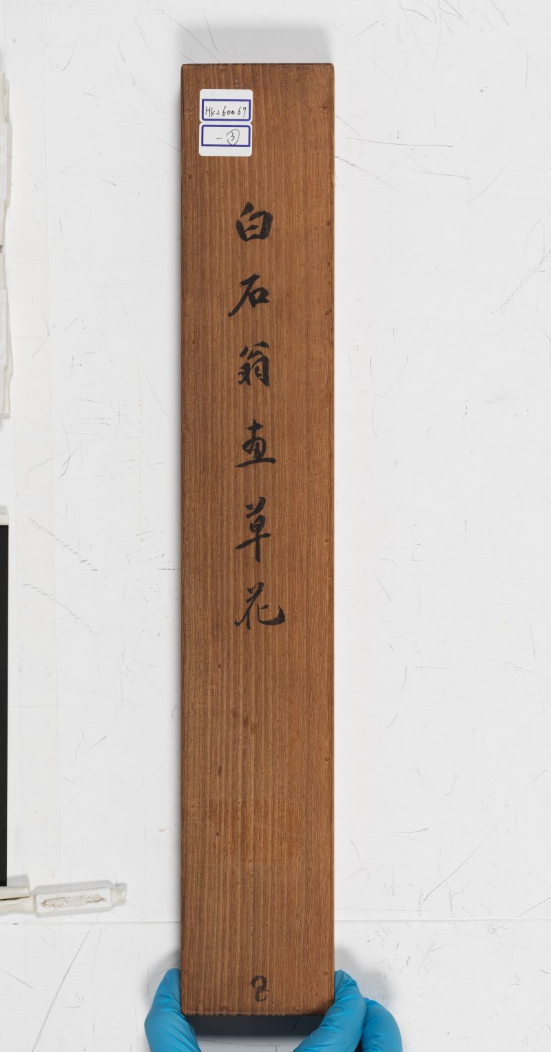 鳳仙花 - 图4