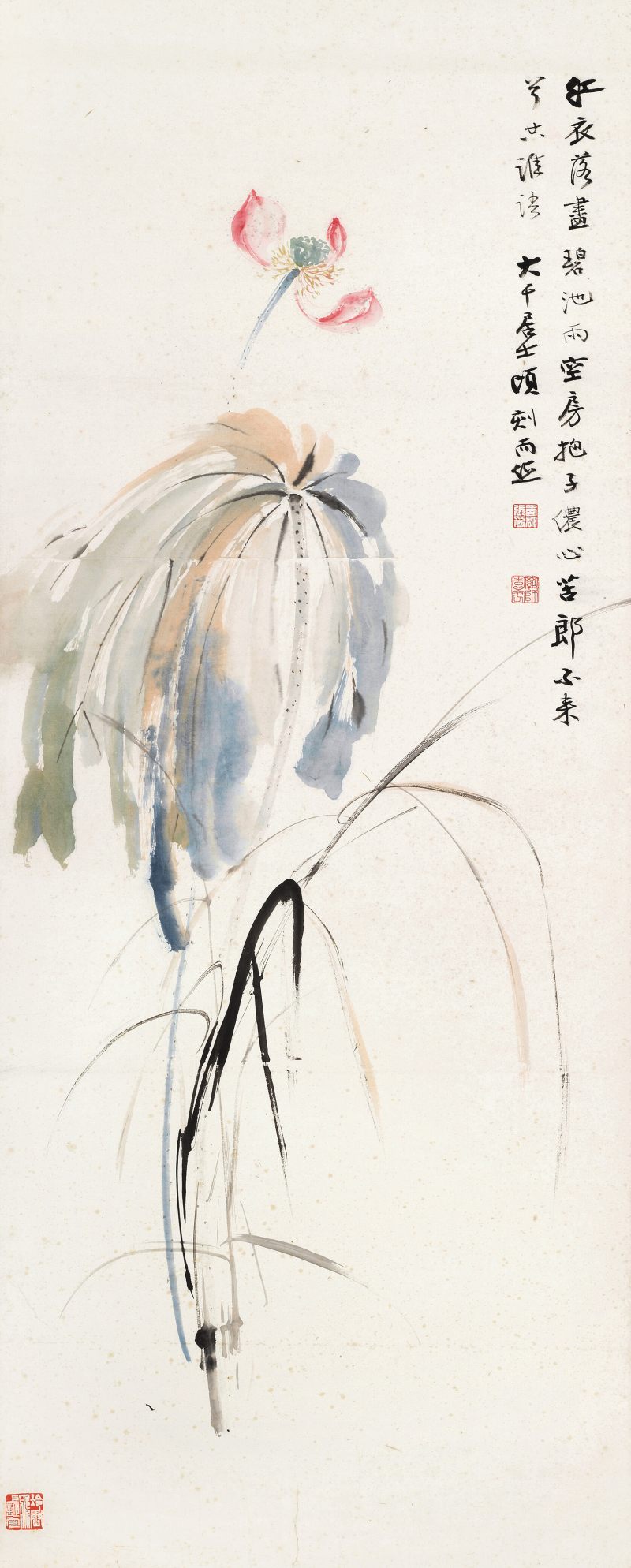 張大千 荷花