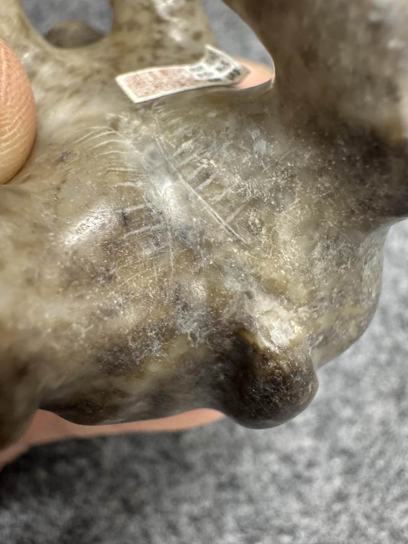 白玉黑沁熊 - 图27