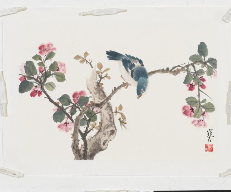 江寒汀 花鳥四幀 - 图2
