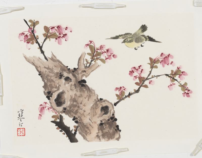江寒汀 花鳥四幀 - 图3