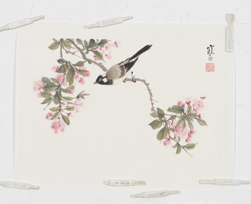 江寒汀 花鳥四幀 - 图4