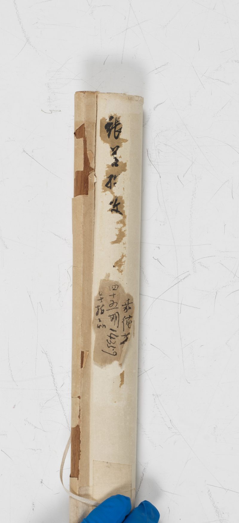 丙子（1936年）作 張善孖 牧牛圖 - 图2