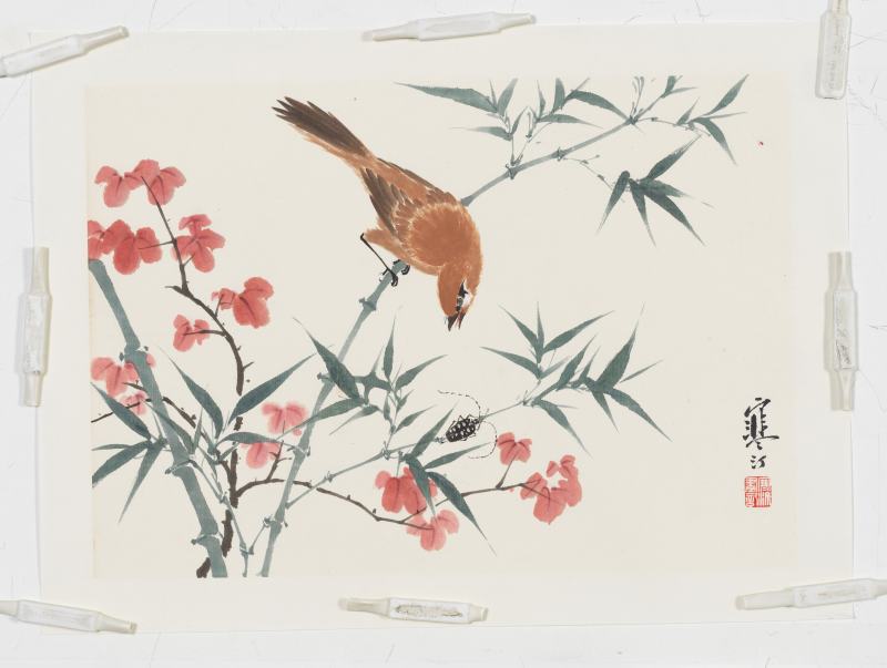 江寒汀 花鳥四幀 - 图5