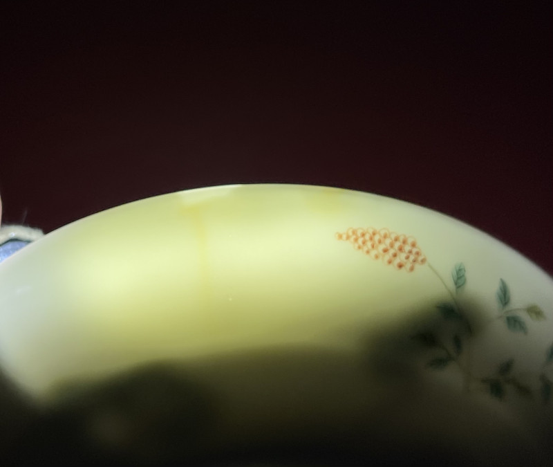 清晚期 粉彩松鹤延年盘 - 图10